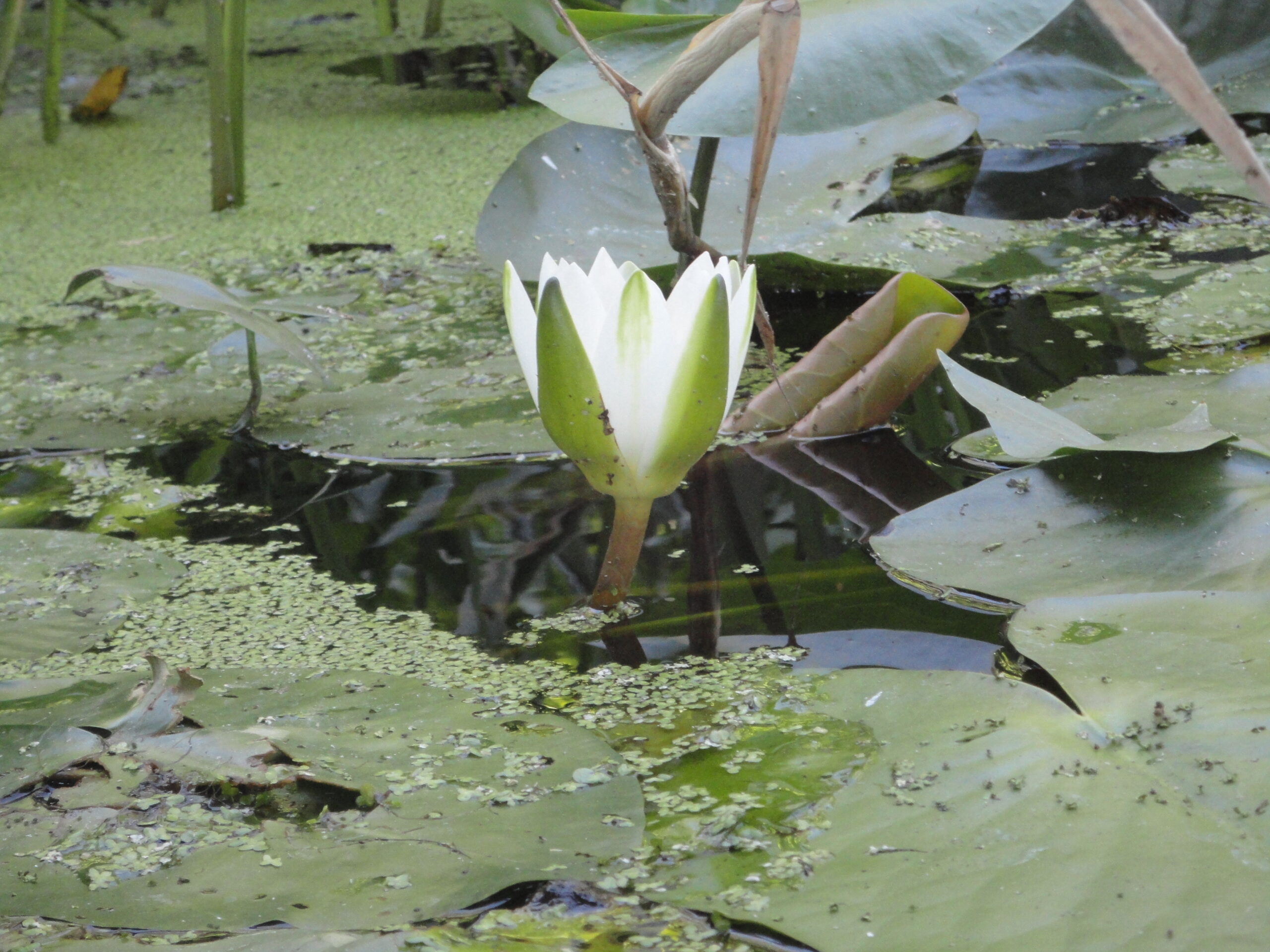 Вода07