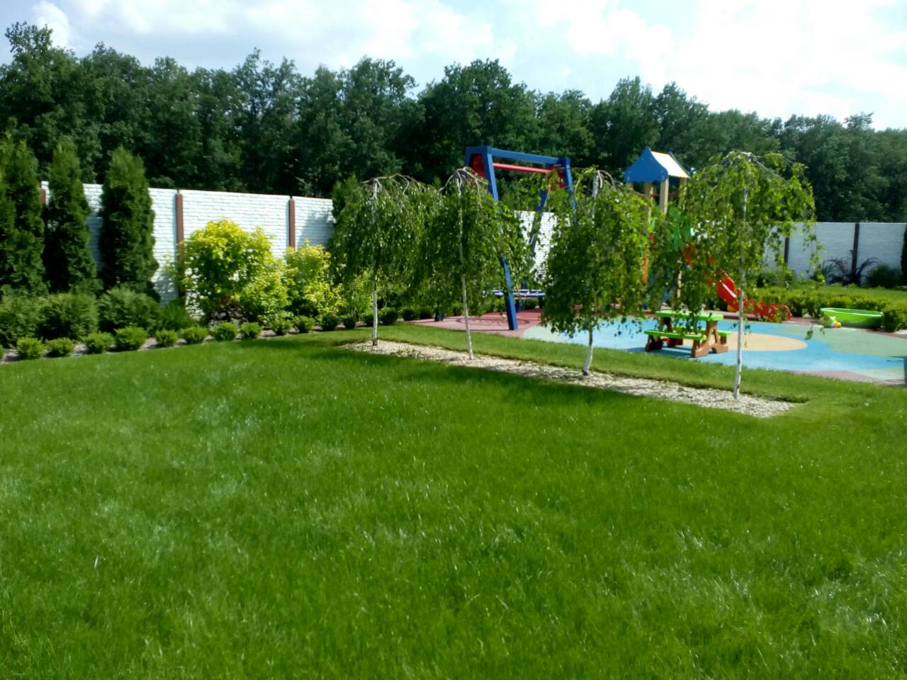 газоны1